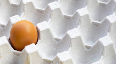 Kağıt yumurta kasasında tavuk yumurtası. 