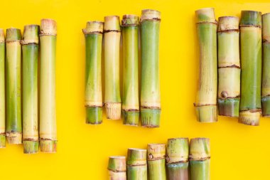 Sarı zemin üzerinde şeker kamışı.