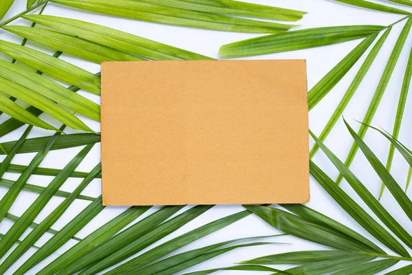 Papel Marrom Folhas Palma Tropicais — Fotografia de Stock