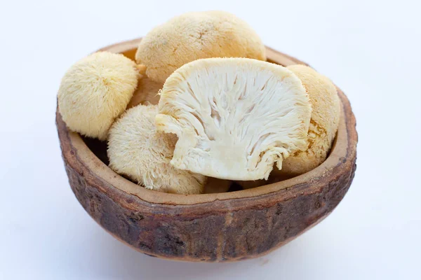stock image Fresh  lion's mane mushroom on white