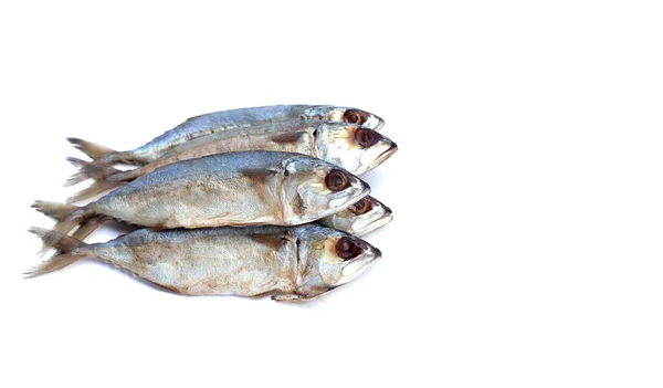 Соленая Рыба Белом Фоне — стоковое фото