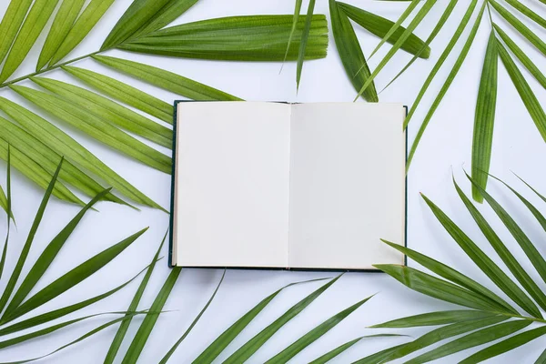Empty book on palm leaves