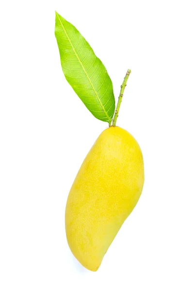Tropisk Frukt Mango Med Blad Vit Bakgrund Ovanifrån — Stockfoto