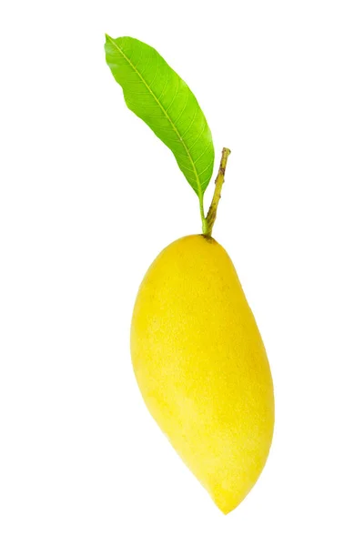 Tropisk Frukt Mango Med Blad Vit Bakgrund Ovanifrån — Stockfoto