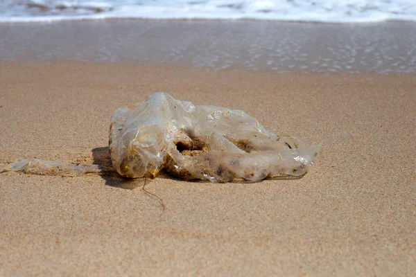 Plastic Bag Pollution Beach — Φωτογραφία Αρχείου