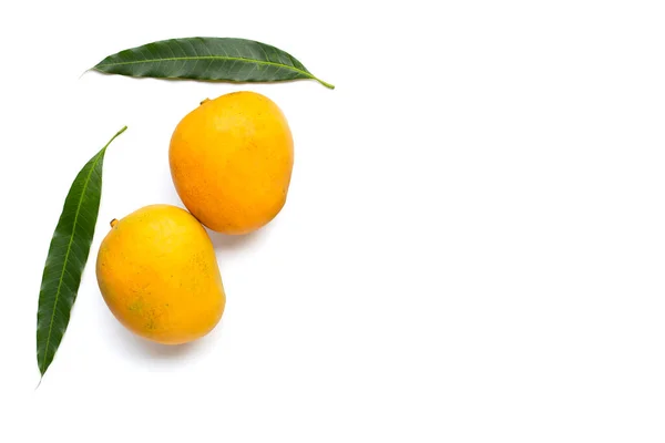 Fruits Tropicaux Mangue Sur Fond Blanc — Photo