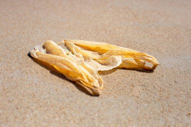 Plastic bag pollution on the beach