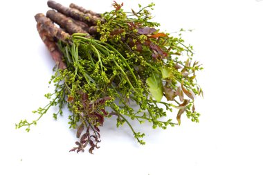 Neem leaves with flowers on white background.