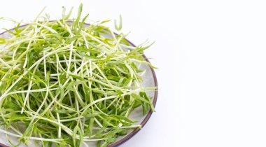 Water spinach sprouts. Organic vegetables