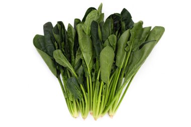 Beyaz arkaplanda taze ıspanak