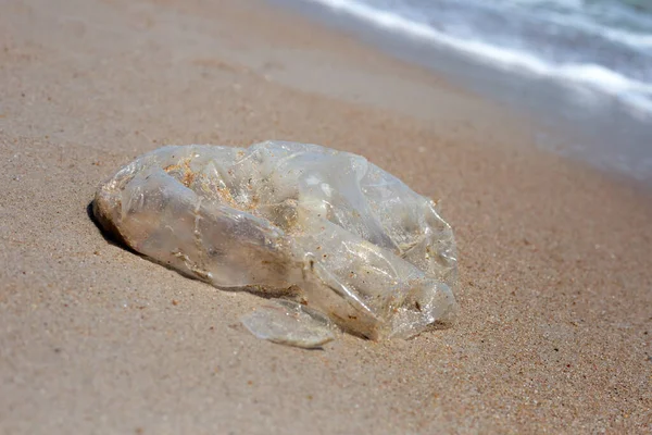 Plastic bag pollution on the beach