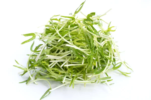 Water Spinach Sprouts Organic Vegetables — Stockfoto