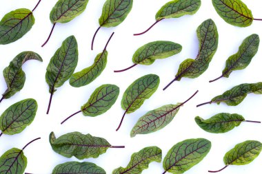 Red-veined sorrel on white background.