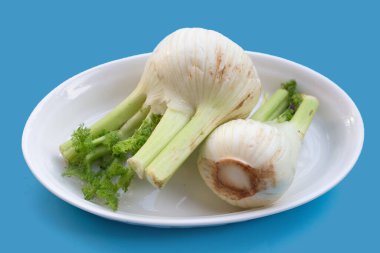 Fresh fennel bulb on blue background