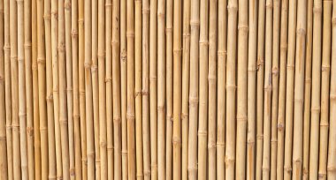 Sarı bambu dokusu. Kurumuş bambu duvarı ya da çit arka planı