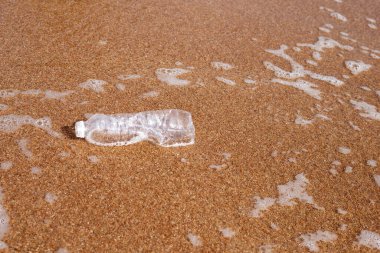 Plastik şişe sahilde
