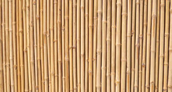 Желтая Бамбуковая Текстура Сушёная Бамбуковая Стена Забор — стоковое фото