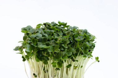 Beyaz arkaplanda lahana filizleri.