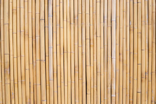 Žlutá Bambusová Textura Sušené Bambusové Stěny Nebo Oplocení Pozadí — Stock fotografie
