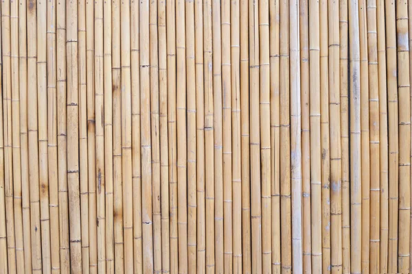 黄竹质地 干竹墙或篱笆背景 — 图库照片