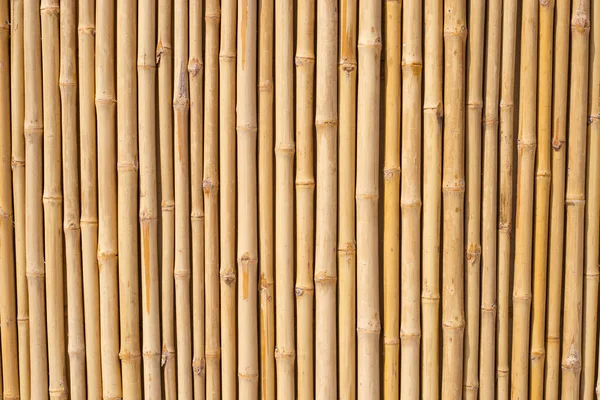 Gelbe Bambus Textur Getrocknete Bambuswand Oder Zaun Hintergrund — Stockfoto