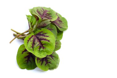 Fresh green red amaranth. Organic vegetables