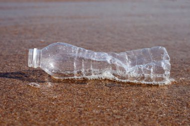 Plastik şişe sahilde
