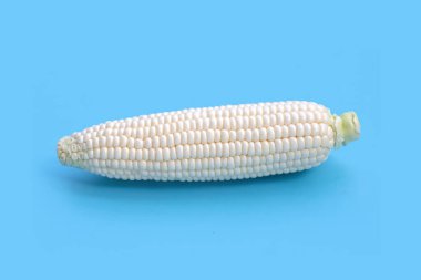 Hokkaido milk corn on blue background.