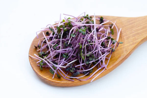 Organic red cabbage sprouts on white background.