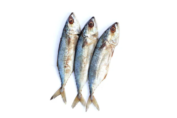 白色背景上的咸鱼 — 图库照片