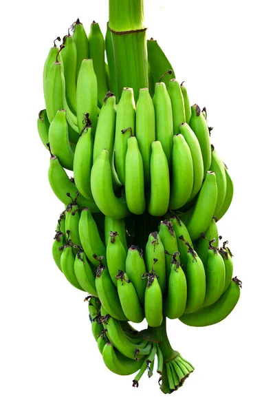 Frutas Plátano Racimo Plátanos — Foto de Stock