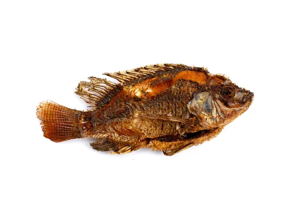 Fried Fish White Background — Stock Photo, Image
