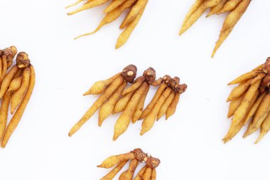 Beyaz arkaplanda parmak kökü.