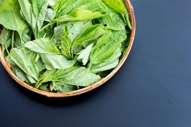 Koyu arkaplanda yeşil ıspanak.