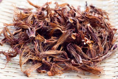 Dried red cotton tree flower