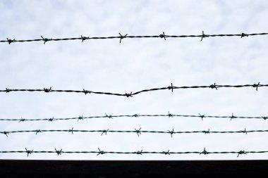 Barbed wires against sky. Wired fence