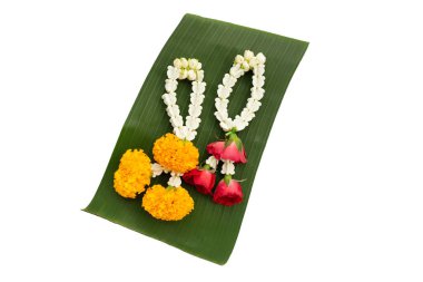 Yasemin garland marigold çiçek beyaz zemin üzerine