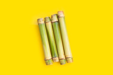 Sugar cane on yellow background.