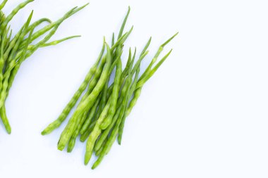 Rat-tailed radish. Fresh organic vegetables