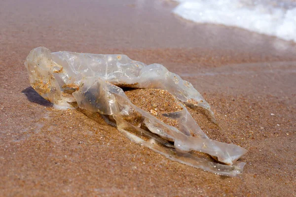 Plastic bag pollution on the beach