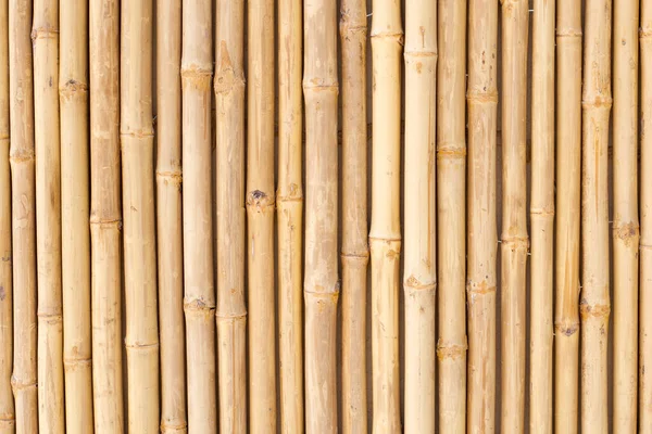 Textura Bambu Amarelo Parede Bambu Seco Fundo Cerca — Fotografia de Stock