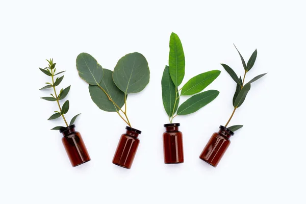 Green Leaves Eucalyptus Essential Bottles White — Stock Photo, Image