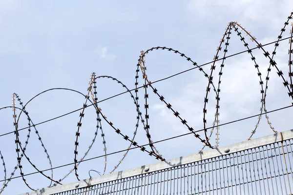Barbed Wires Sky Wired Fence — Stockfoto