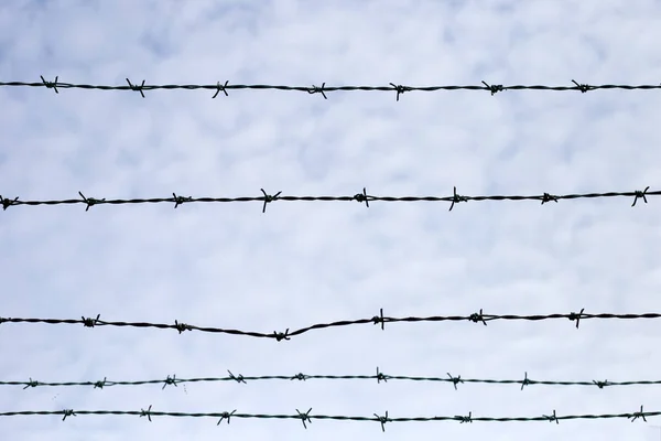 Barbed Wires Sky Wired Fence — Stockfoto