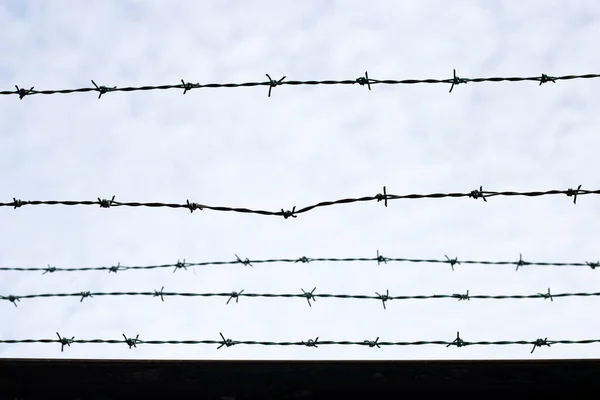 Barbed Wires Sky Wired Fence — Φωτογραφία Αρχείου