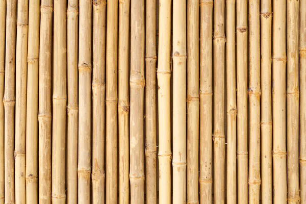 Texture Bambù Giallo Muro Bambù Essiccato Sfondo Recinzione — Foto Stock