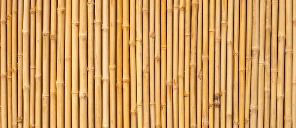 Gele Bamboe Textuur Gedroogde Bamboe Muur Hek Achtergrond — Stockfoto