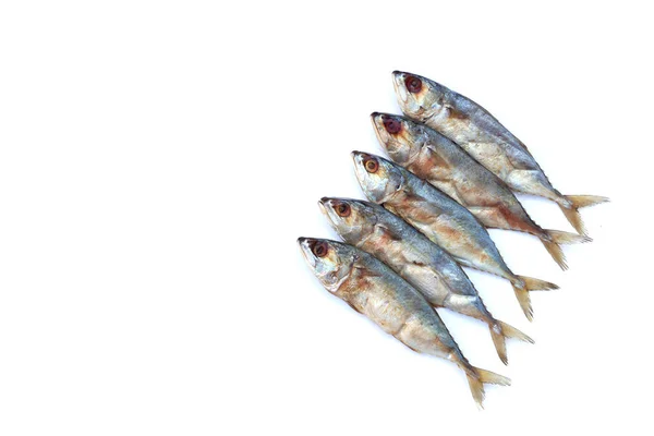 Gezouten Vis Witte Achtergrond — Stockfoto