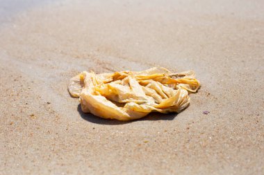 Plastic bag pollution on the beach