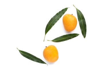 Tropik meyve, beyaz arka planda mango..